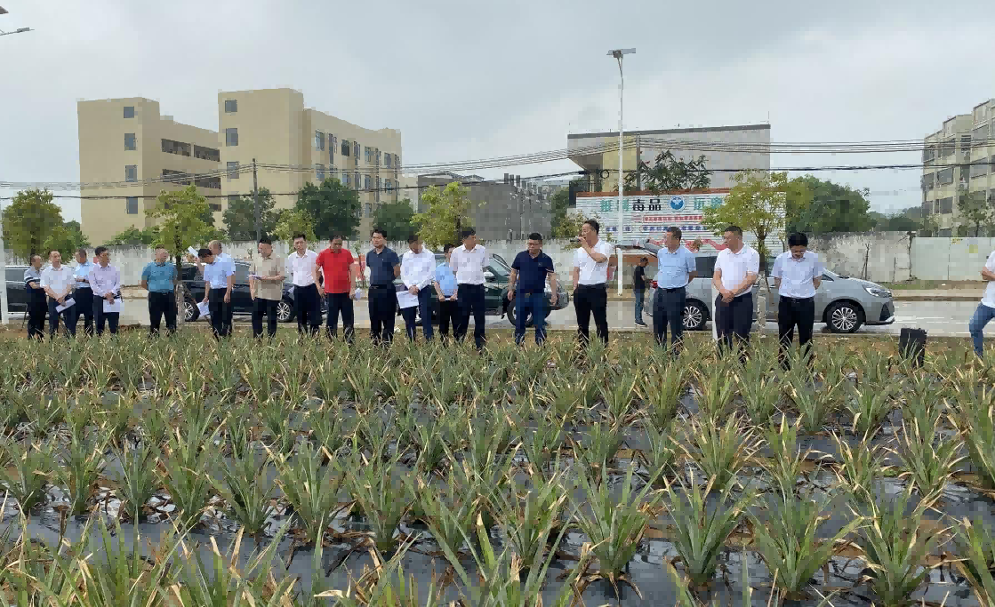 2c9303be84128a350c9d62e083e93a72.png 科技處2(1).png