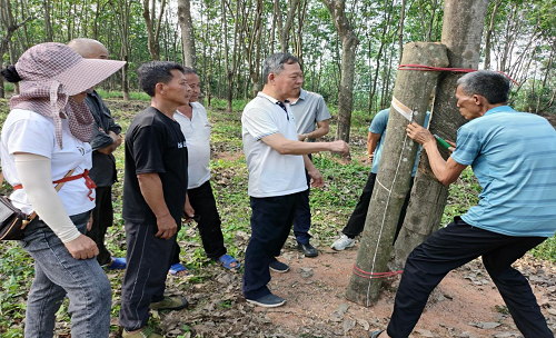 3d4cb4830c2598c0fe80b077e5082670.png 圖片6.png