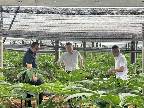 0cebdcf9809c7c4906a6d1cffad1f1c3.png 圖片5.png