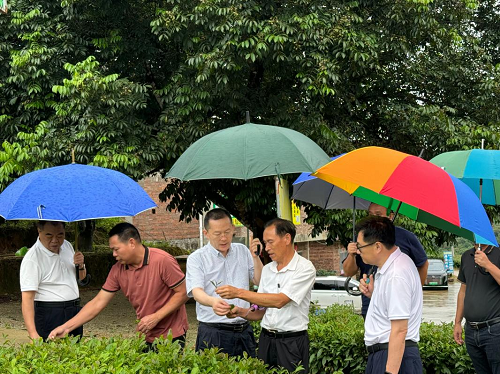 bce9991a5d4c188faf773016edfd050a.png 圖片2.png