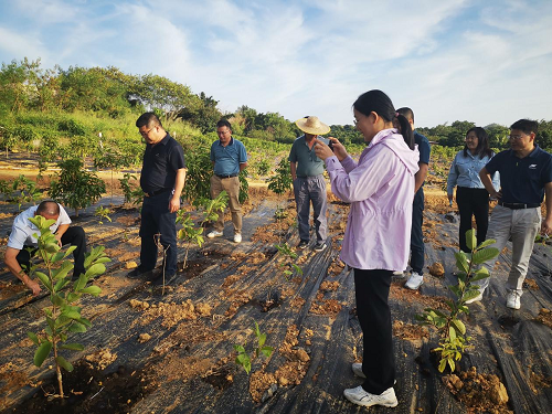 1df4d28baa3c5be5c4ee5c6a4e4b905c.png 揭陽(yáng)農(nóng)墾拆舊復(fù)墾項(xiàng)目1.png