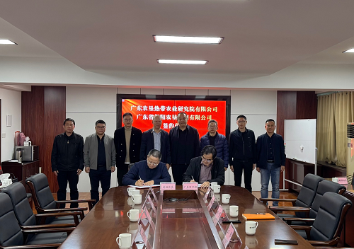 揭陽農(nóng)墾與廣墾研究院、省耕保協(xié)會舉行簽約儀式