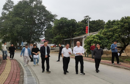 范利輝帶隊到卅嶺農(nóng)場進(jìn)行項目規(guī)劃建設(shè)調(diào)研.png